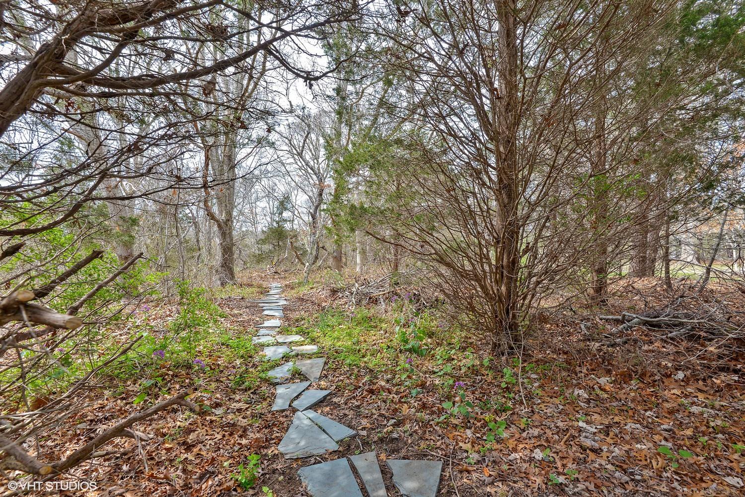 2055 Bridge Road Eastham, MA 02642 - Photo 19 of 22 a backyard of a house with lots of green space