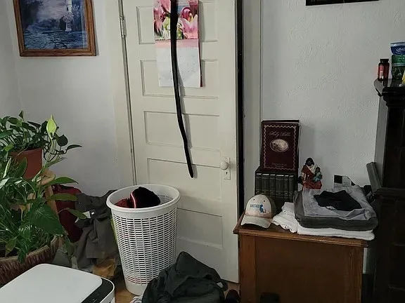 $1,950 | 46 Hodges Avenue, Unit 3, Taunton, MA 02780