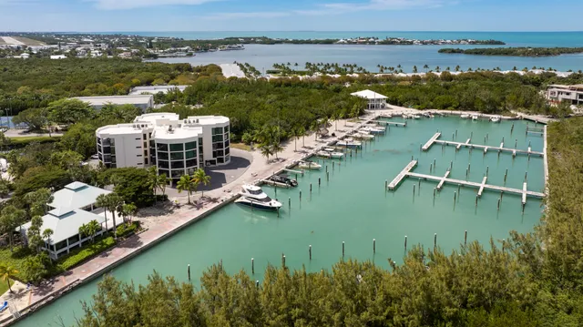 an aerial view of residential houses with outdoor space and lake view