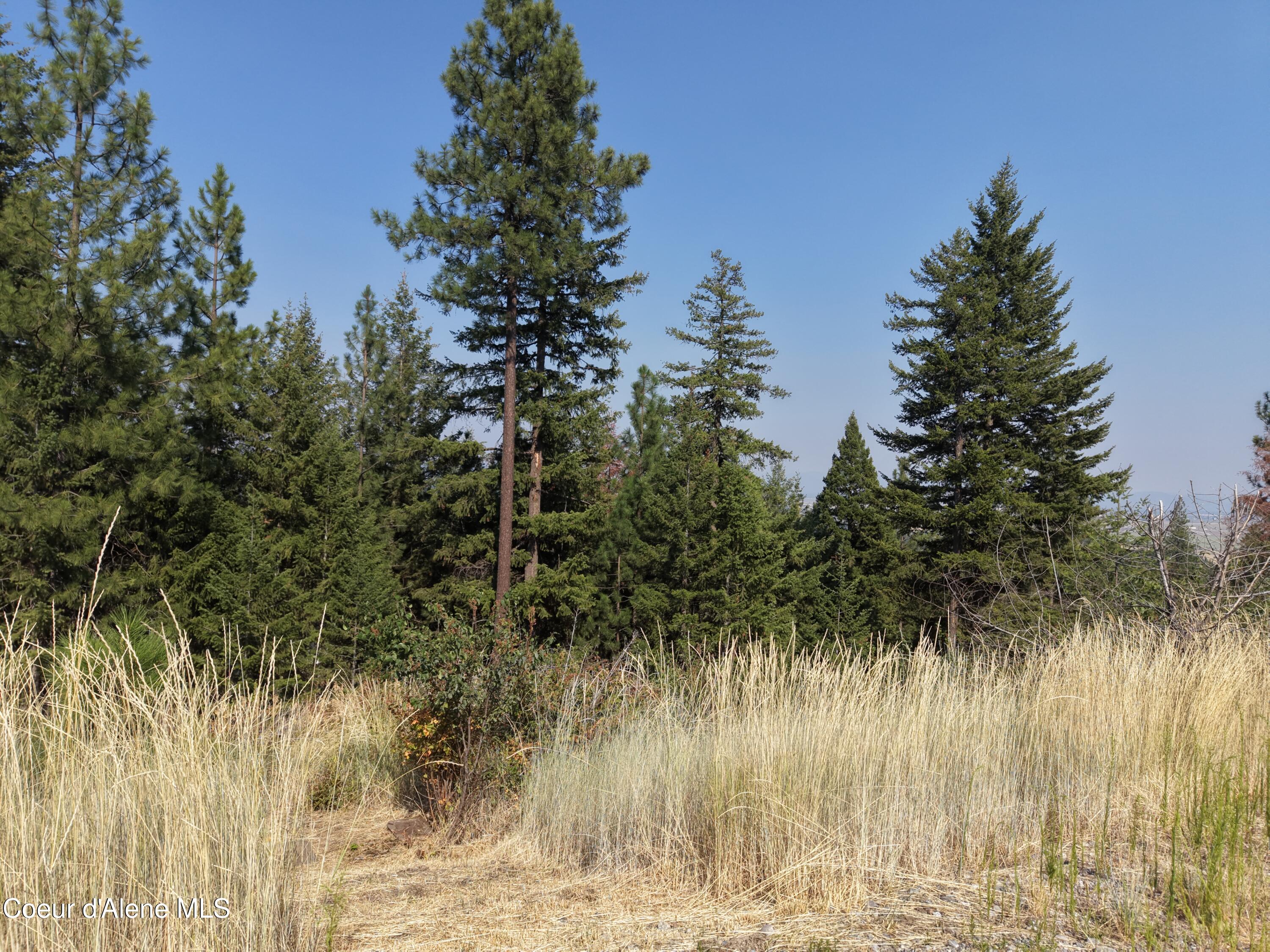 Lot 20 North Spiral Ridge Trail Rathdrum, ID 83858 - Photo 15 of 19 Lot 20 Spiral Ridge
