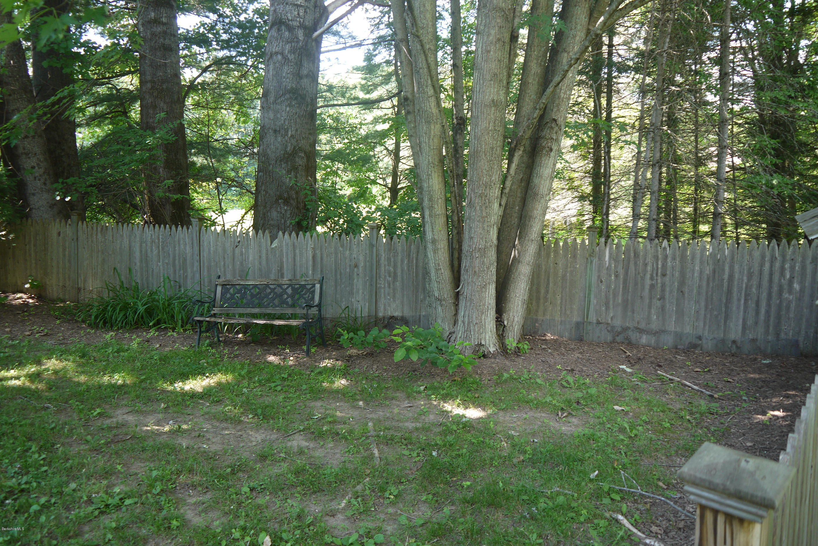 1468 Dublin Road Richmond, MA 01254 - Photo 4 of 21 sitting under tree