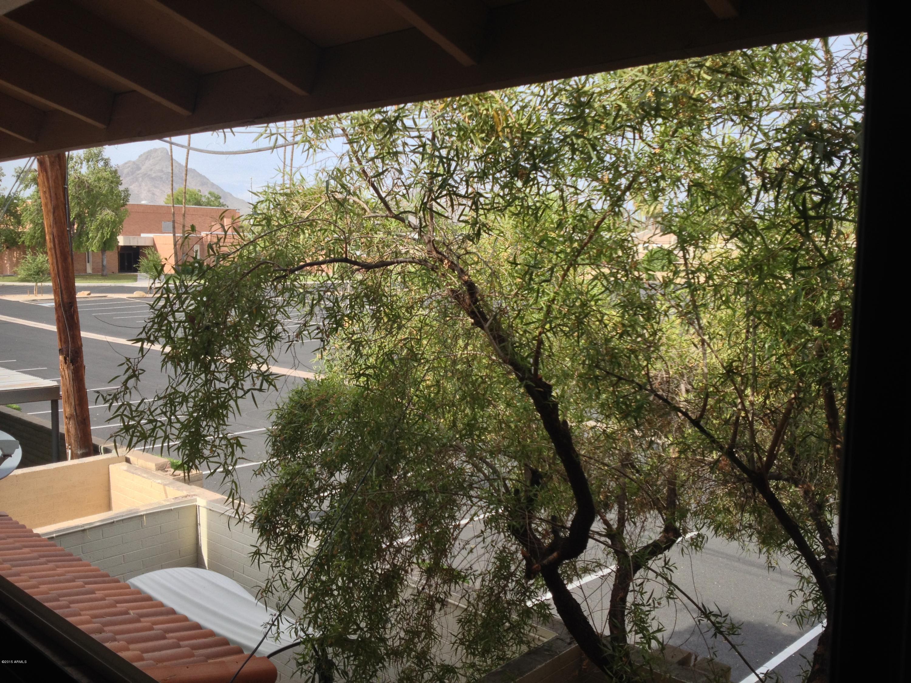 5315 North 18th Street, Unit 9 Phoenix, AZ 85016 - Photo 23 of 25 IMG_9287