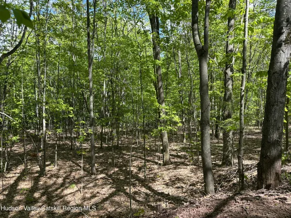 a view of outdoor space and green space