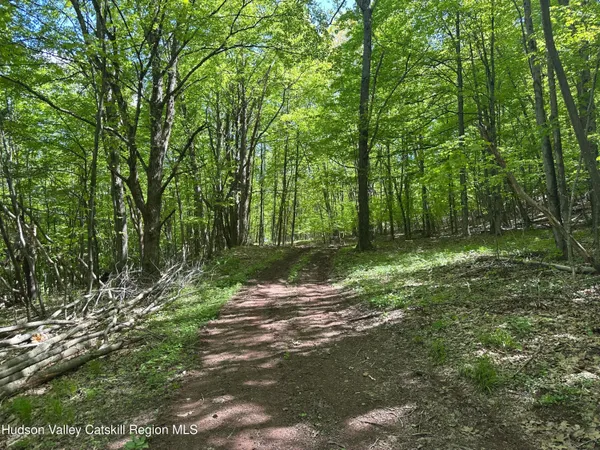 a view of outdoor space with lots of trees