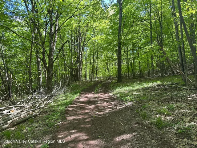 a view of outdoor space with lots of trees