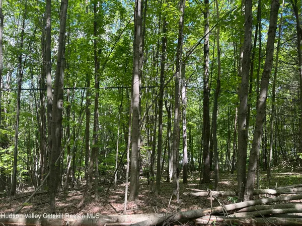 a view of a green field with lots of bushes
