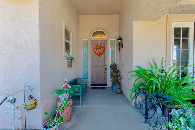 a front view of a house with lots of potted plants