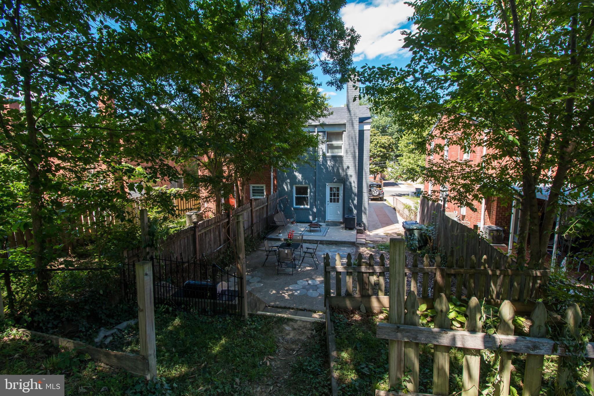 708 Four Mile Road Alexandria, VA 22305 - Photo 16 of 19 Tree canopy over the rear yard