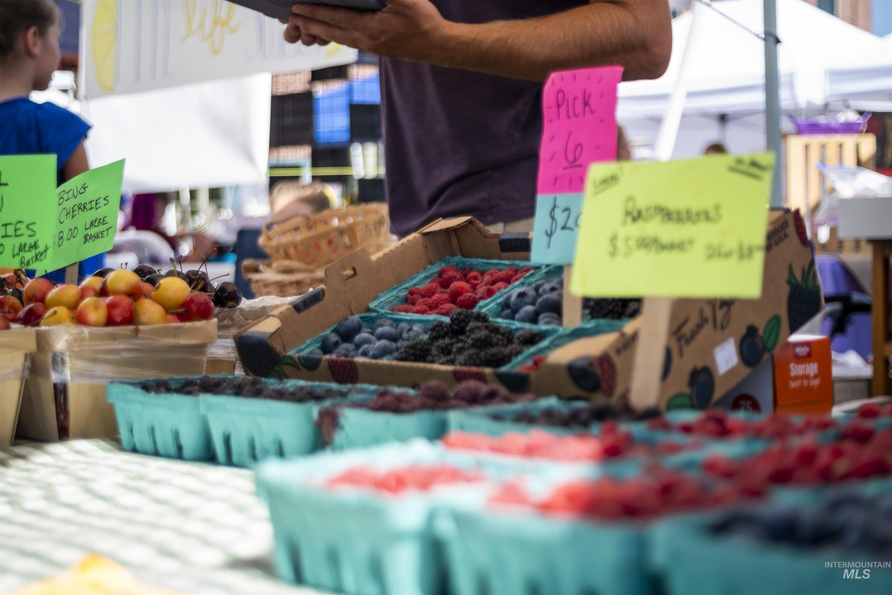 29 North Feather Reed Avenue Meridian, ID 83642 - Photo 15 of 15