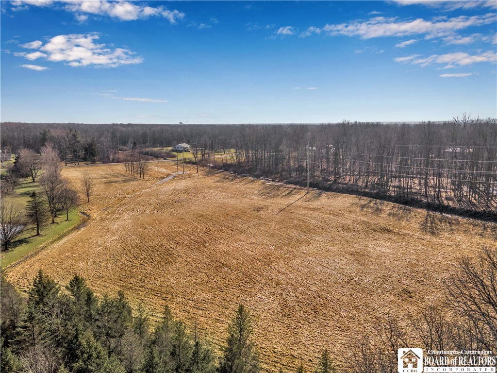 8668 Hopkins Road Batavia Town, NY 14020 - Photo 11 of 13