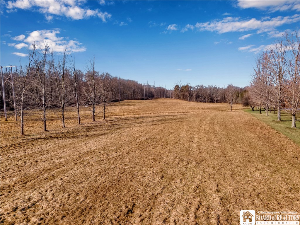 8668 Hopkins Road Batavia Town, NY 14020 - Photo 12 of 13