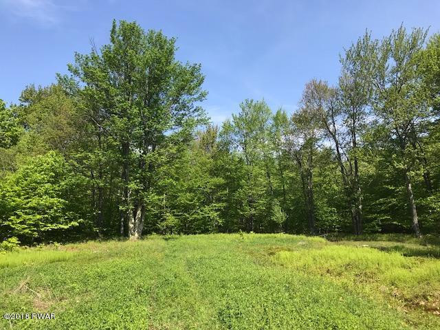 Brook Street Forest City, PA 18421 - Photo 12 of 22