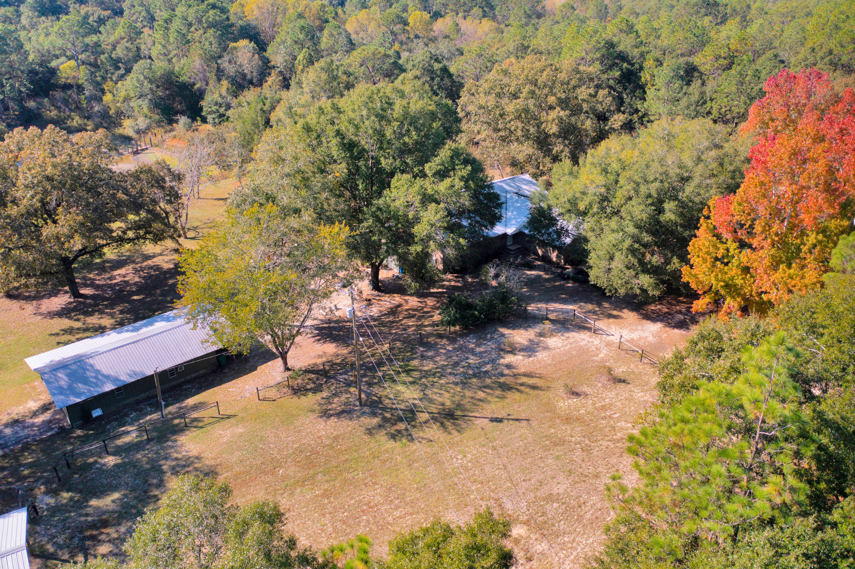 2540 Taylor Road Crestview, FL 32536 - Photo 70 of 75 a view of a yard with plants and trees