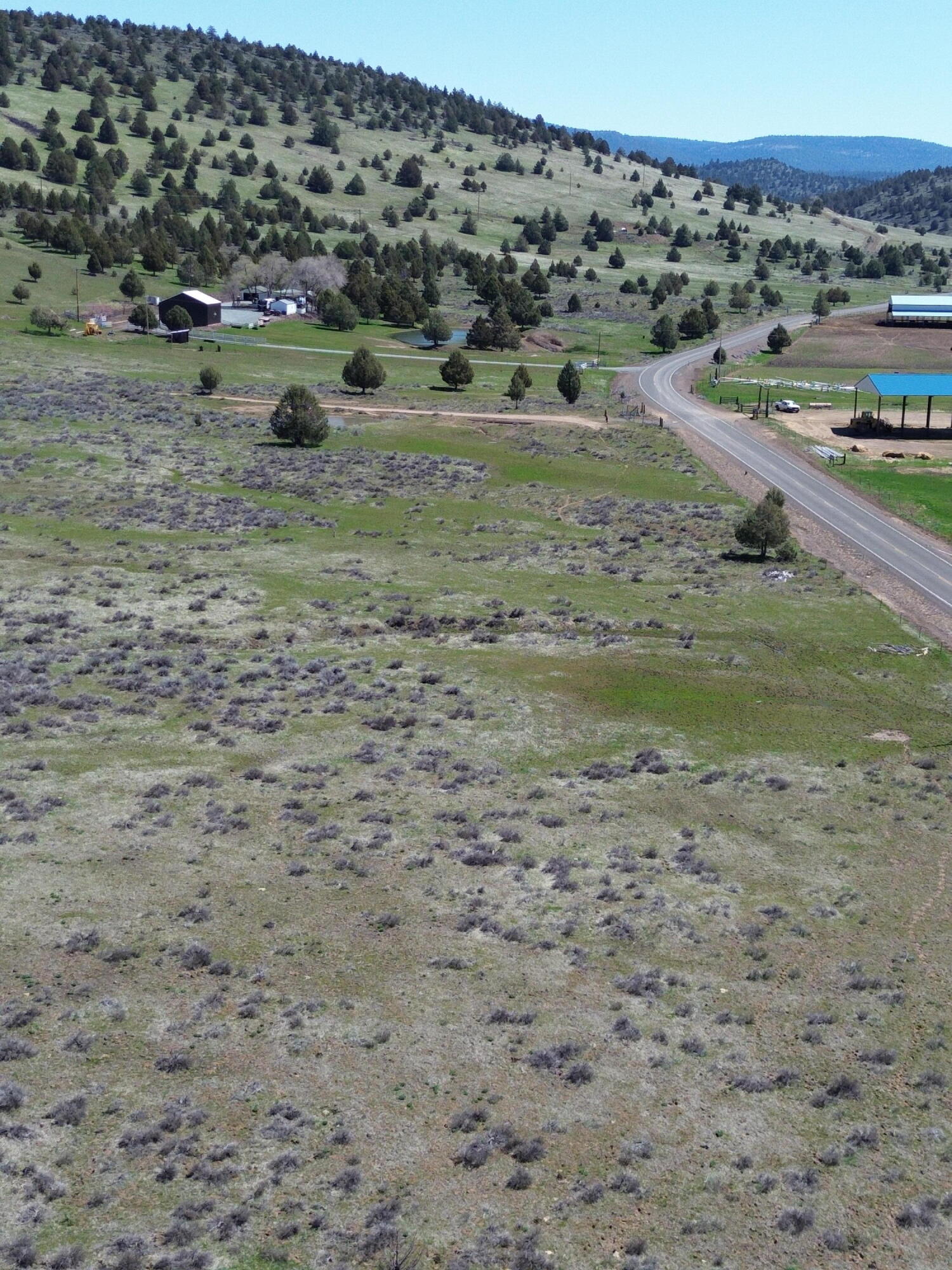 848 Co Rd 87 Adin, CA 96006 - Photo 5 of 13 a view of a dry yard with trees