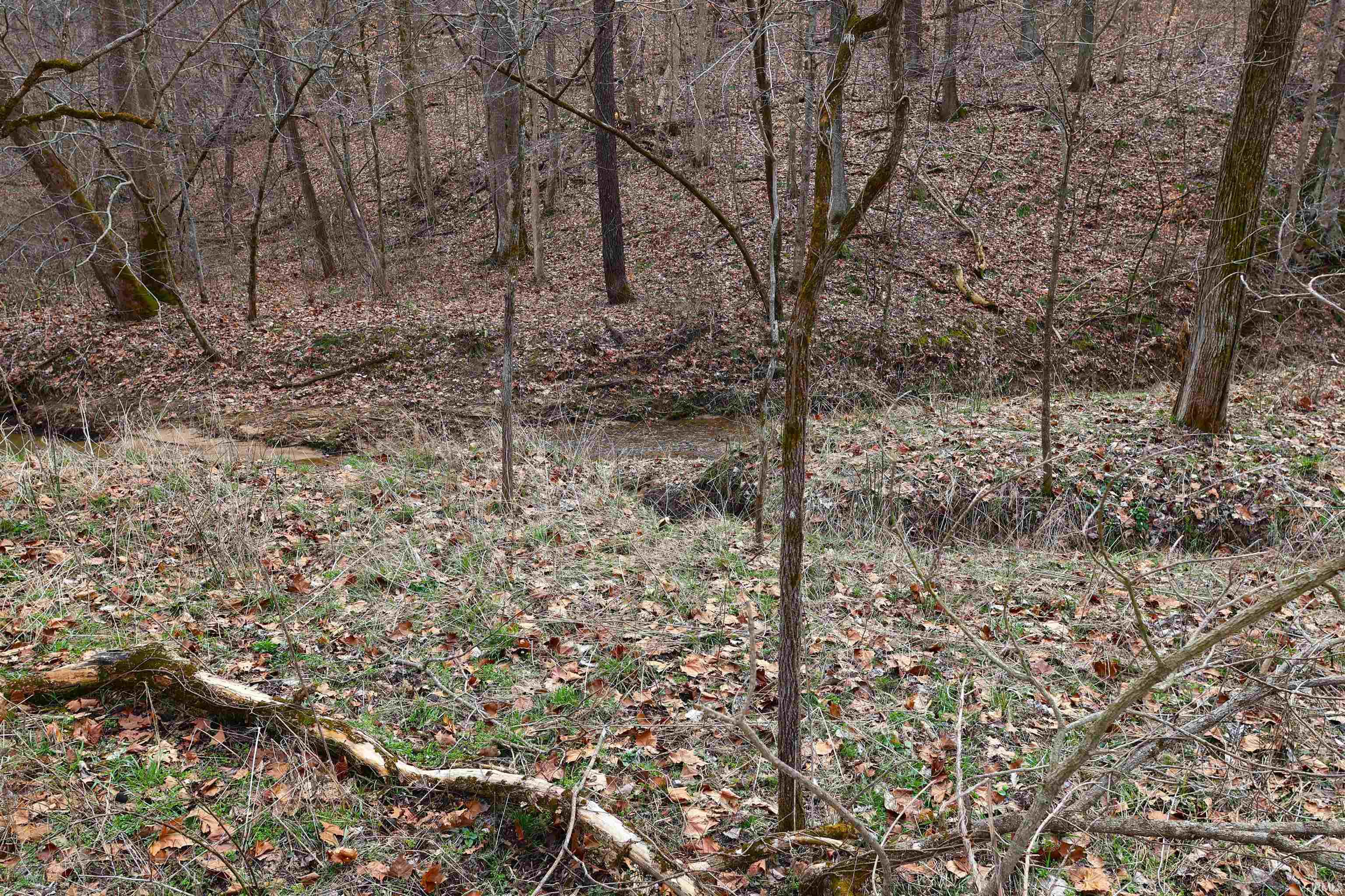 5689 East Bland Road Bloomfield, IN 47424 - Photo 23 of 33 Gallery Image 23
