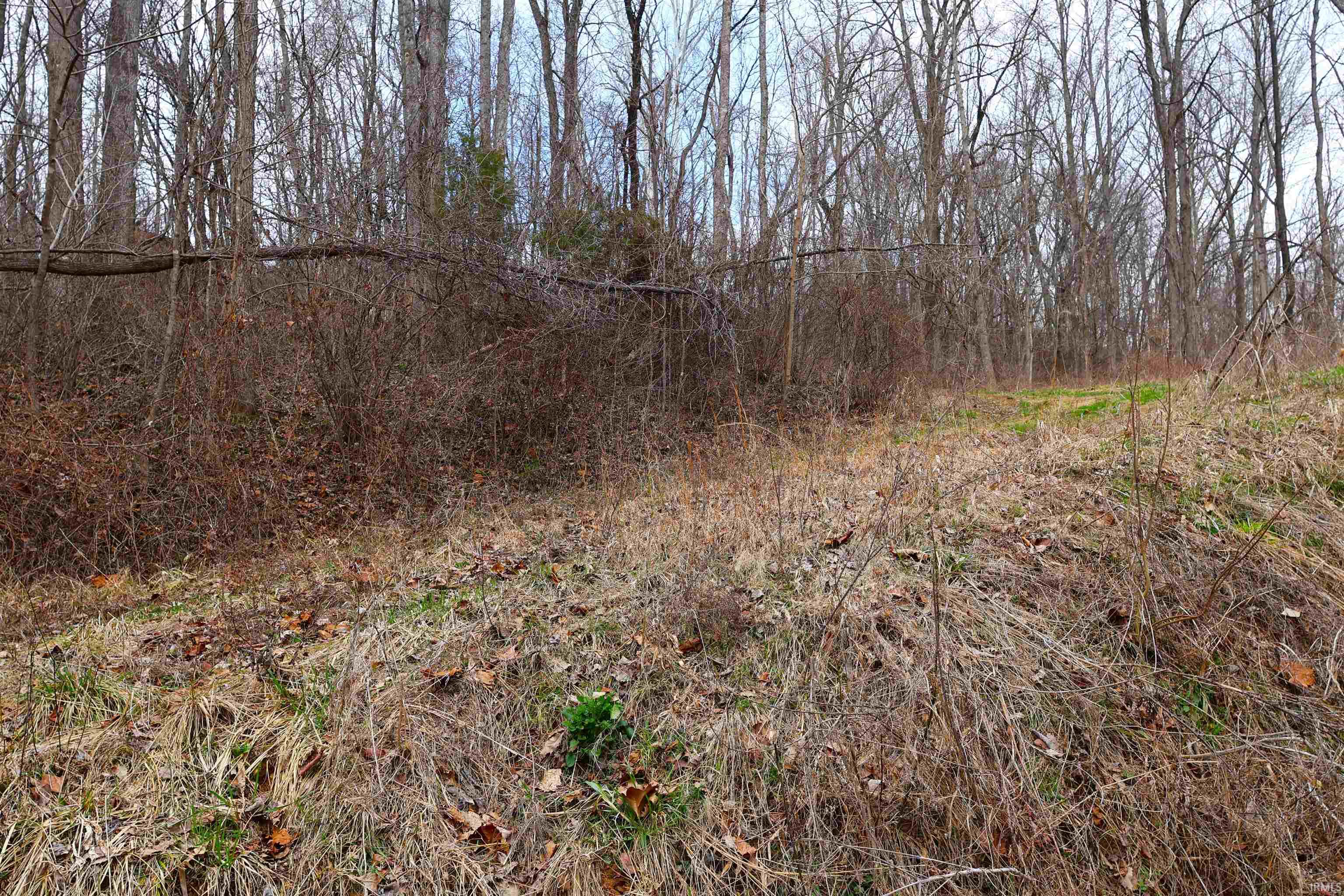 5689 East Bland Road Bloomfield, IN 47424 - Photo 31 of 33