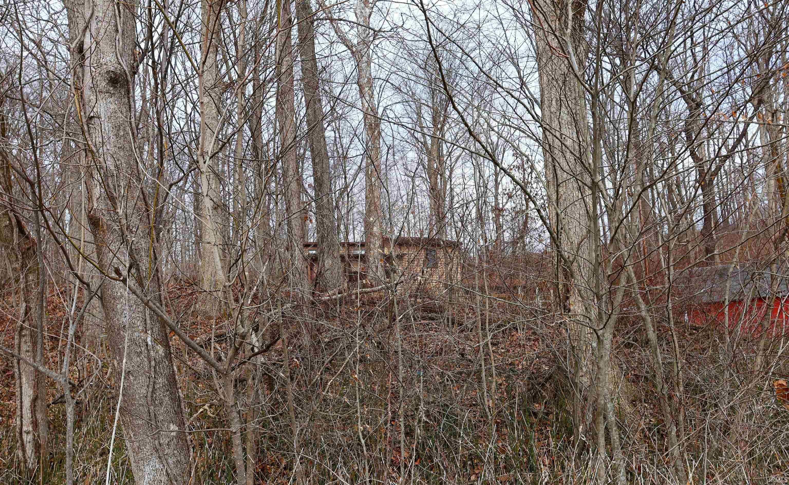 5689 East Bland Road Bloomfield, IN 47424 - Photo 32 of 33