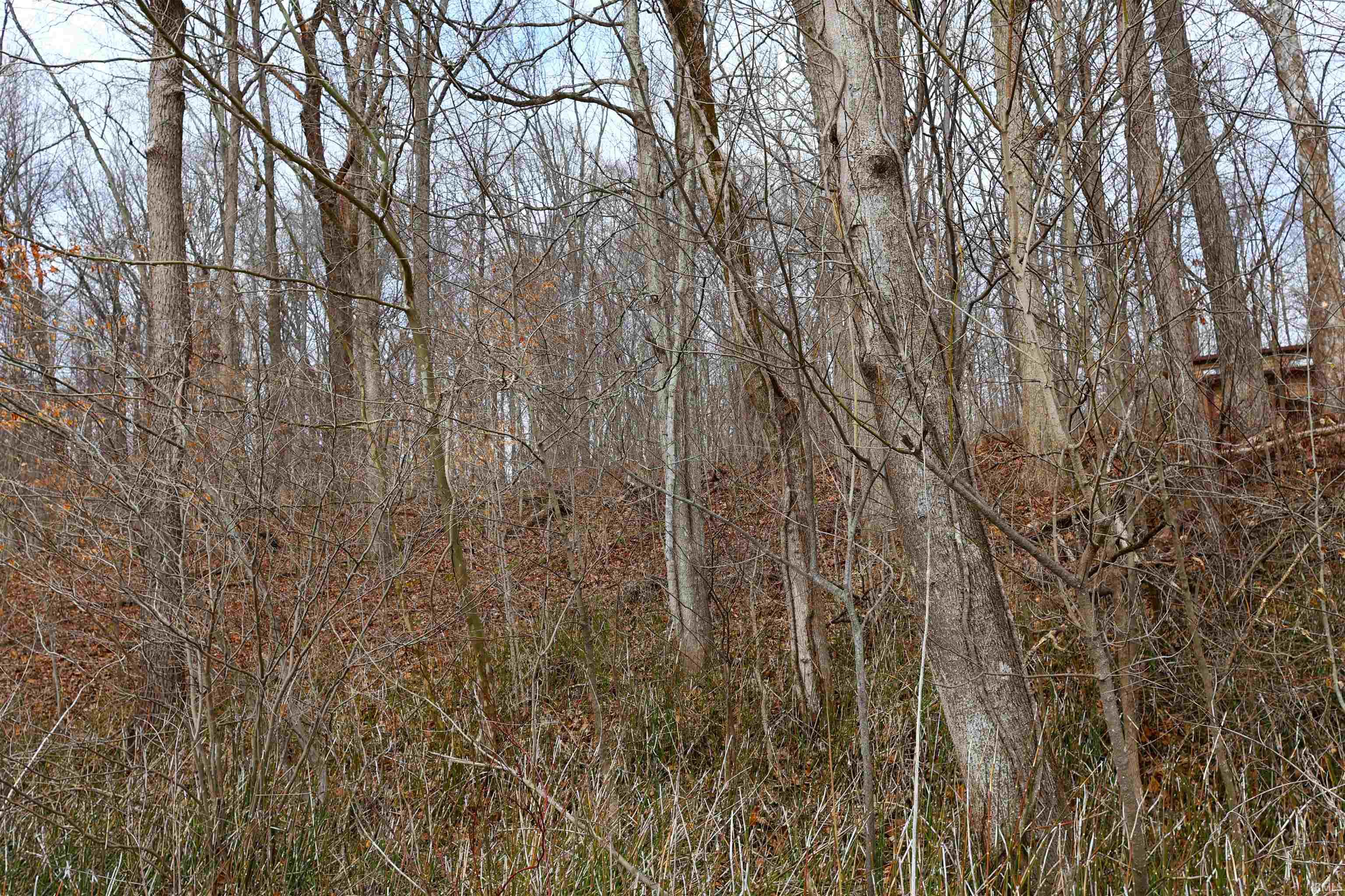 5689 East Bland Road Bloomfield, IN 47424 - Photo 33 of 33