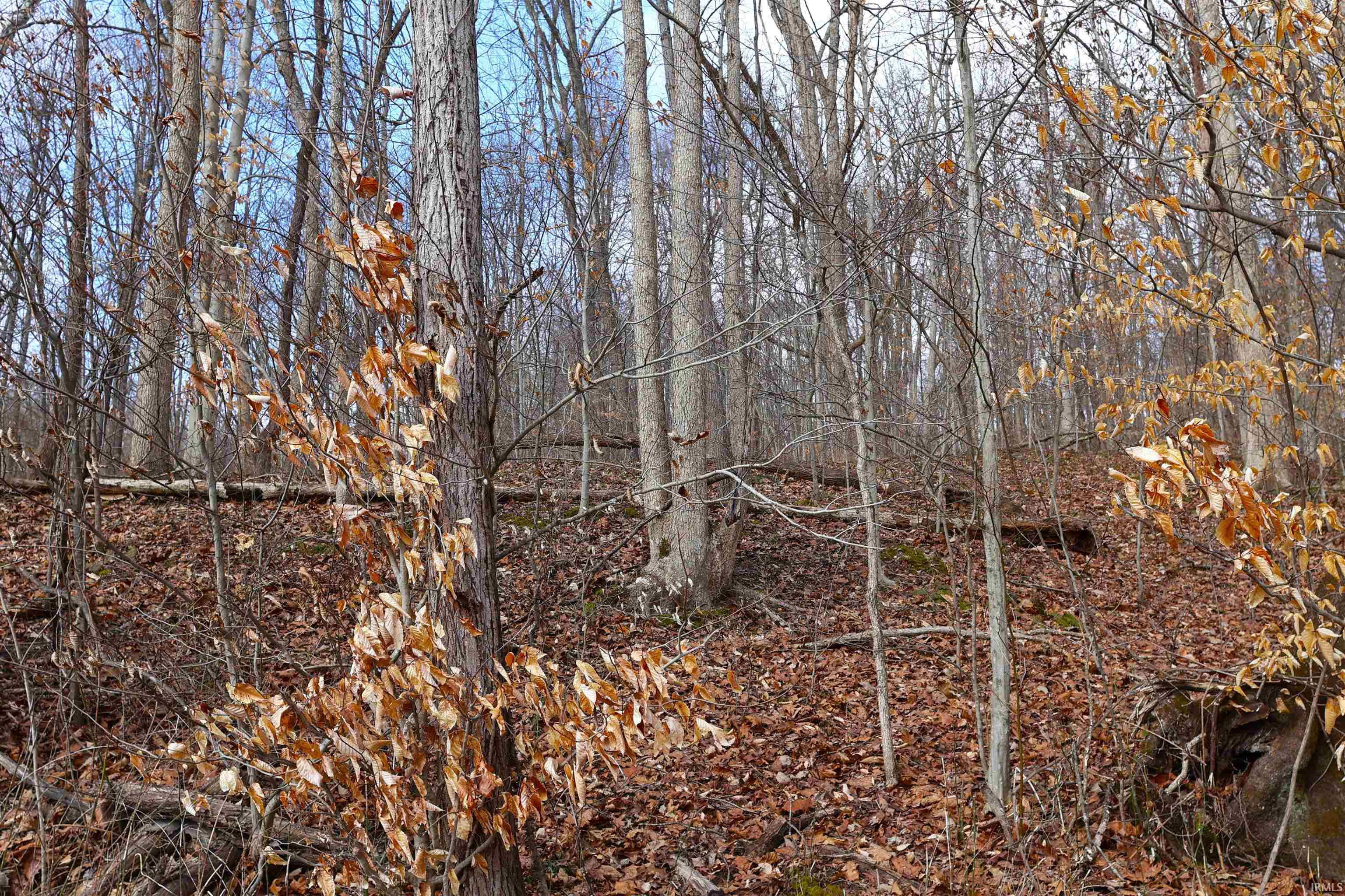 5689 East Bland Road Bloomfield, IN 47424 - Photo 9 of 33