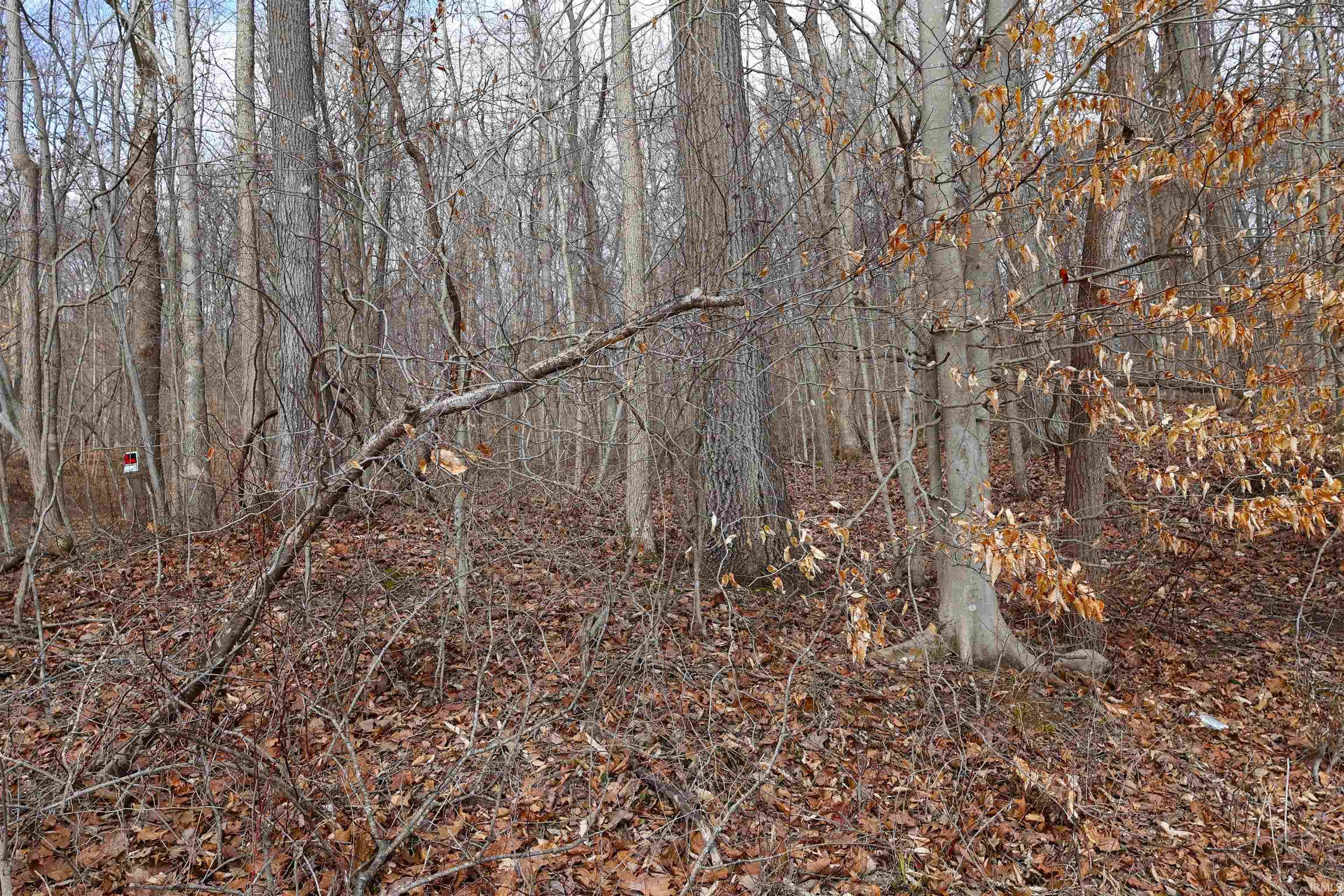 5689 East Bland Road Bloomfield, IN 47424 - Photo 10 of 33