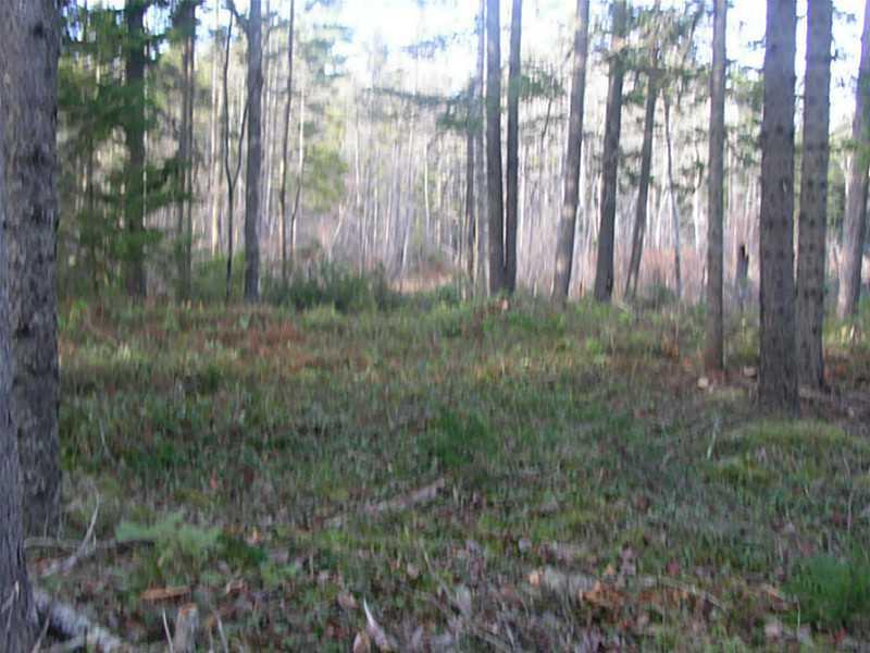 Lot Tbd Flye Point Road Brooklin, ME 04616 - Photo 6 of 14 Land/Lot.