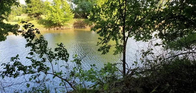 a view of a lake with a tree