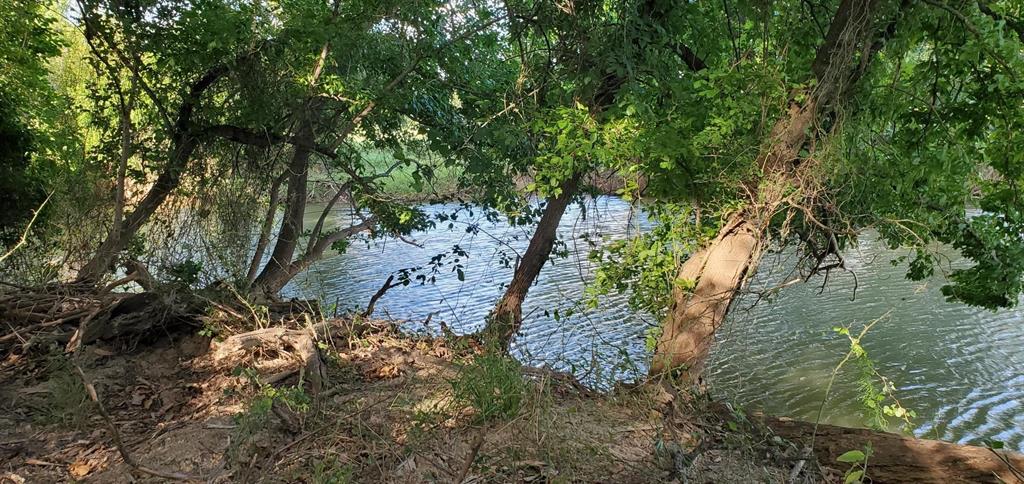 0 County Road 4757 Rhome, TX 76078 - Photo 4 of 9 a view of a yard with plants and large trees