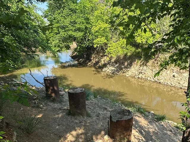 a view of a lake with lawn chairs next to large trees