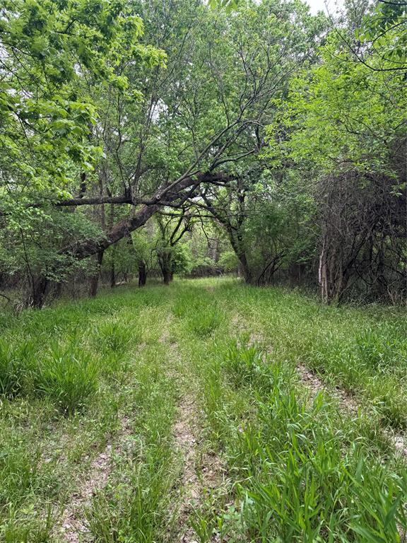 0 County Road 4757 Rhome, TX 76078 - Photo 7 of 9 a view of a back yard