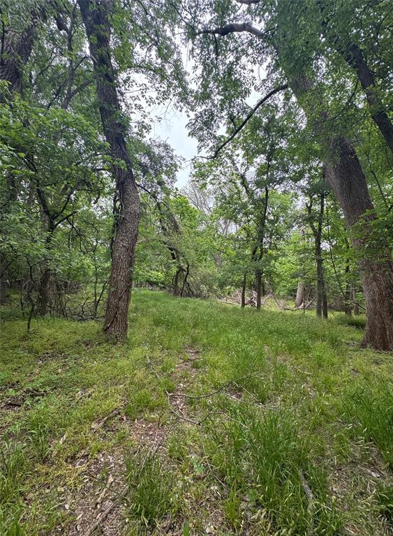 0 County Road 4757 Rhome, TX 76078 - Photo 8 of 9 a view of a lush green forest