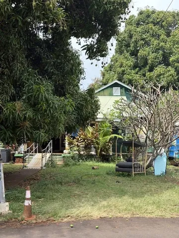 a view of a yard with plants