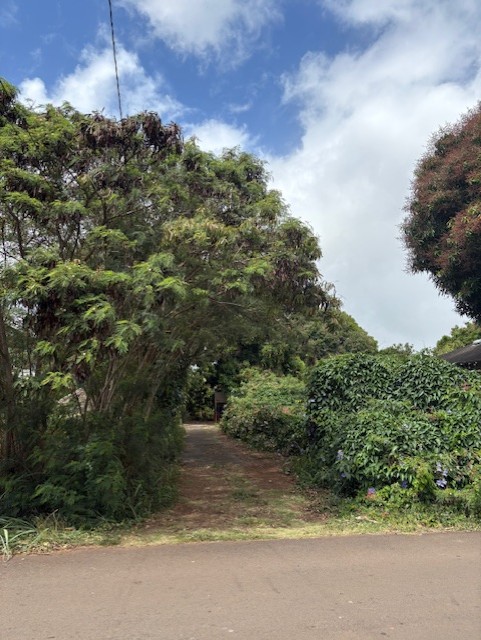 3861 Koula Road Hanapepe, HI 96716 - Photo 17 of 28 a view of a yard with plants