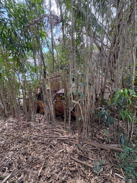 3861 Koula Road Hanapepe, HI 96716 - Photo 19 of 28 a backyard of a house with lots of green space
