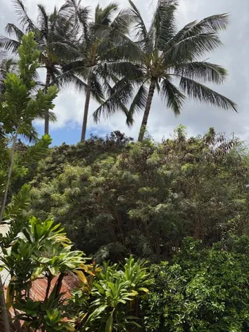 a bedroom with bed and a window