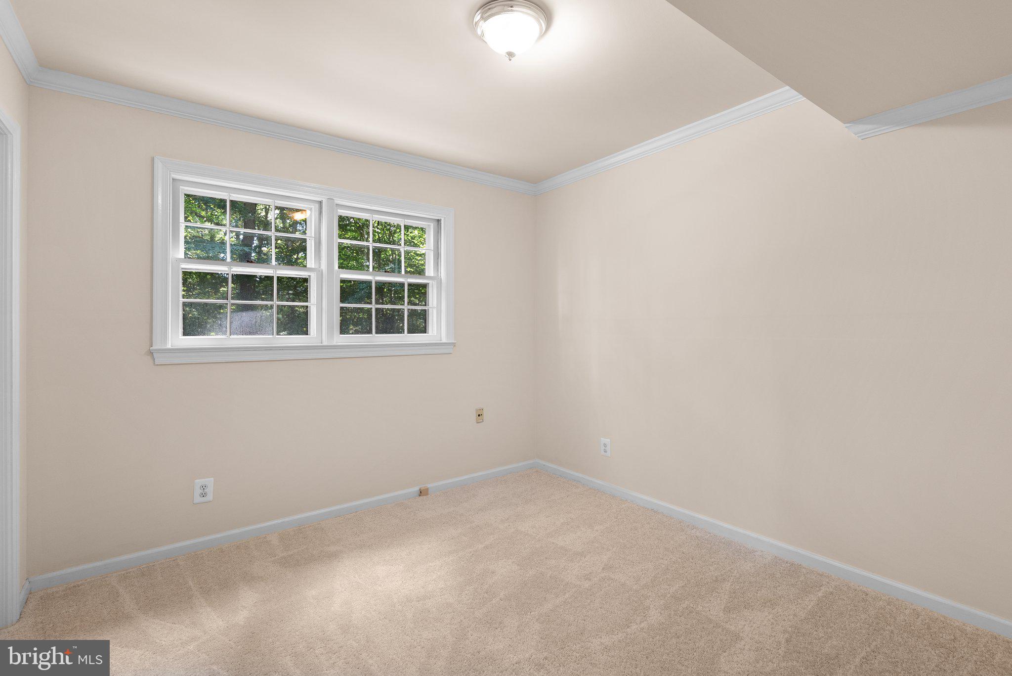 6569 Braddock Road Alexandria, VA 22312 - Photo 43 of 54 Gallery Image 43