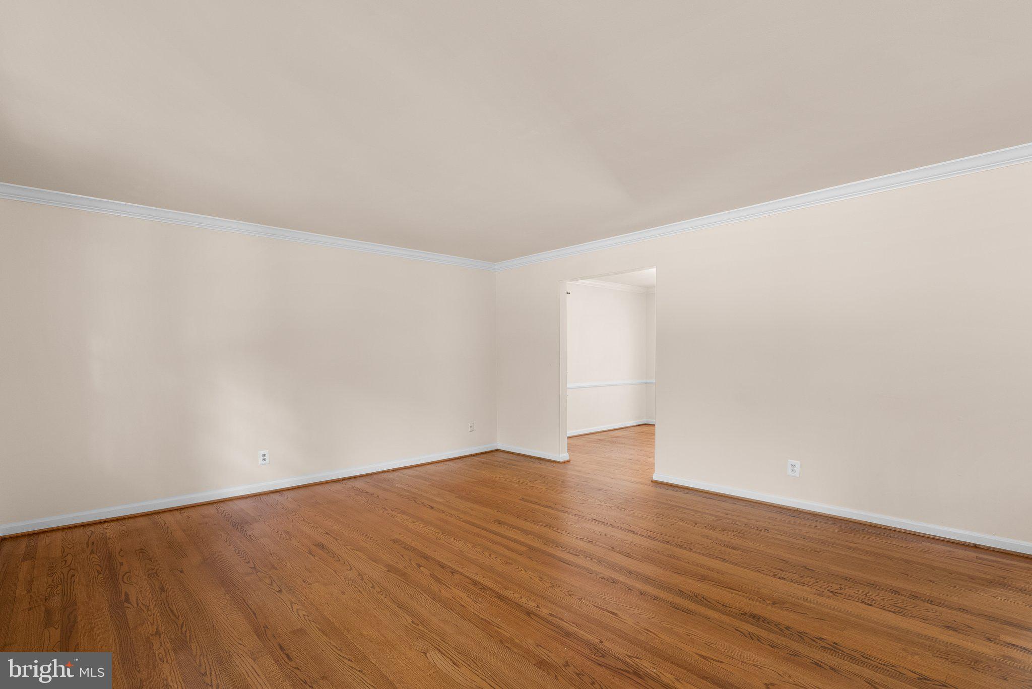 6569 Braddock Road Alexandria, VA 22312 - Photo 6 of 54 Gallery Image 6