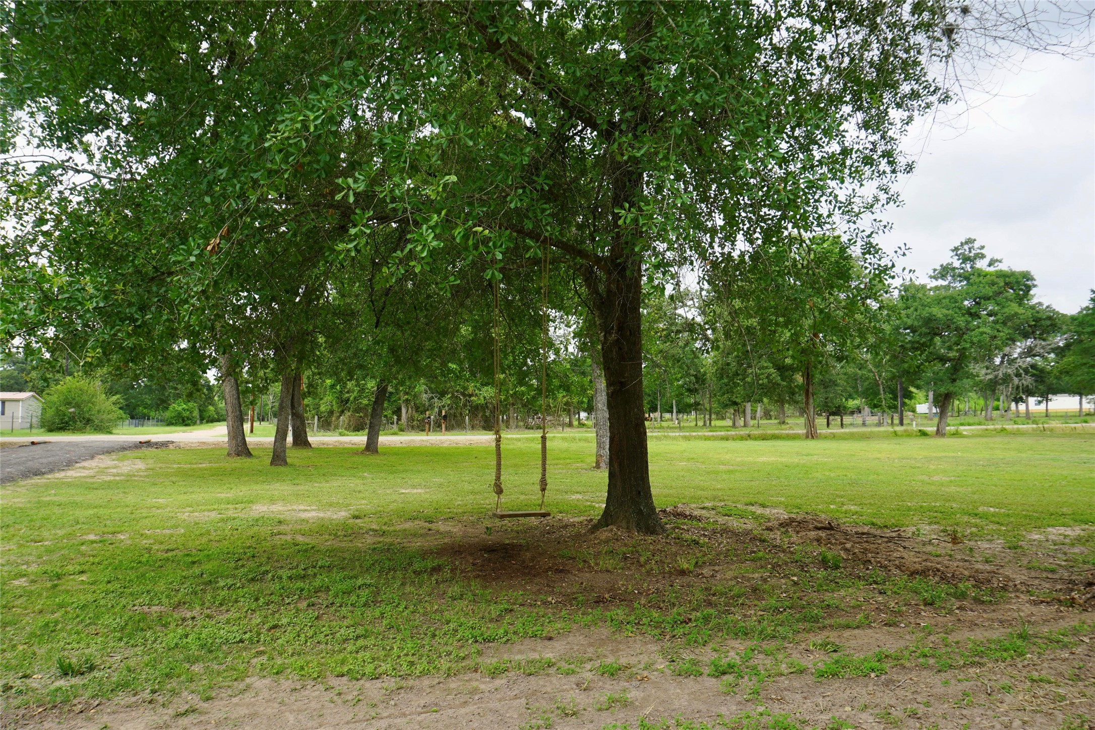 39645 Bosque Road Hempstead, TX 77445 - Photo 16 of 37 a view of a trees in a park