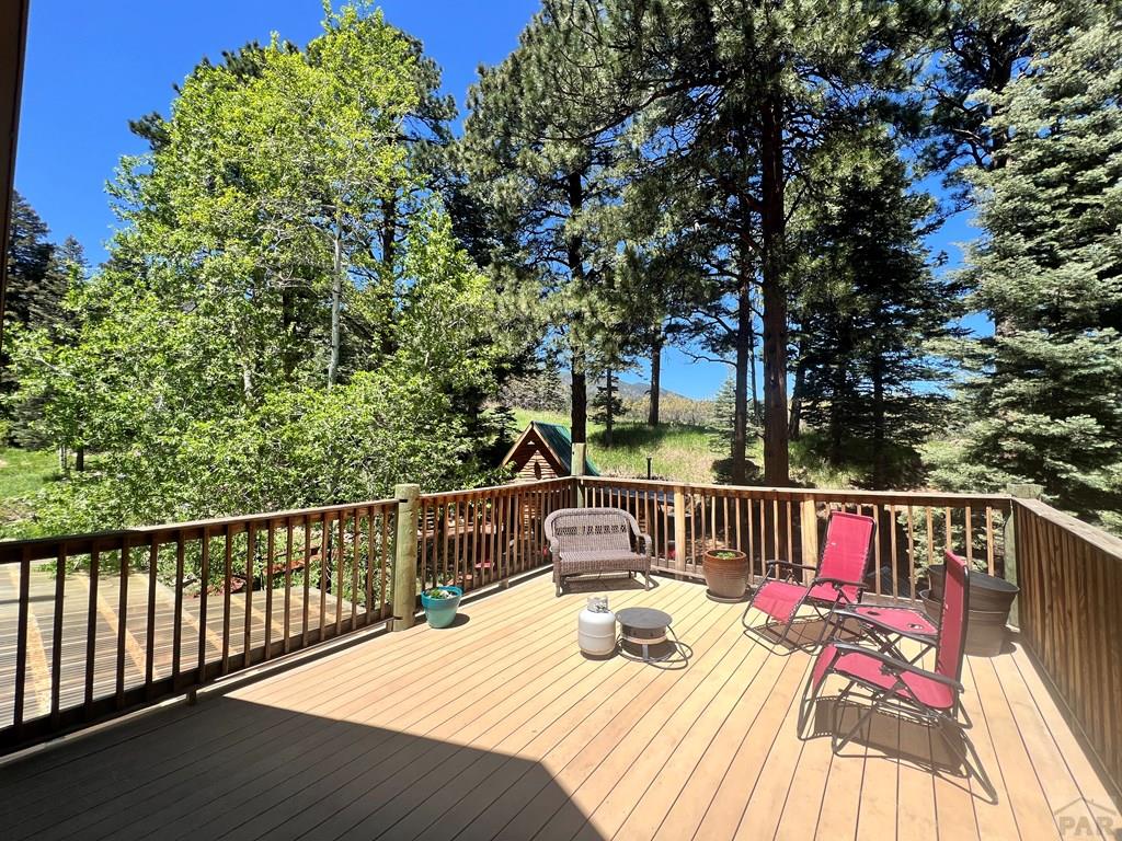 10421 Linger Longer Lane Rye, CO 81069 - Photo 12 of 46