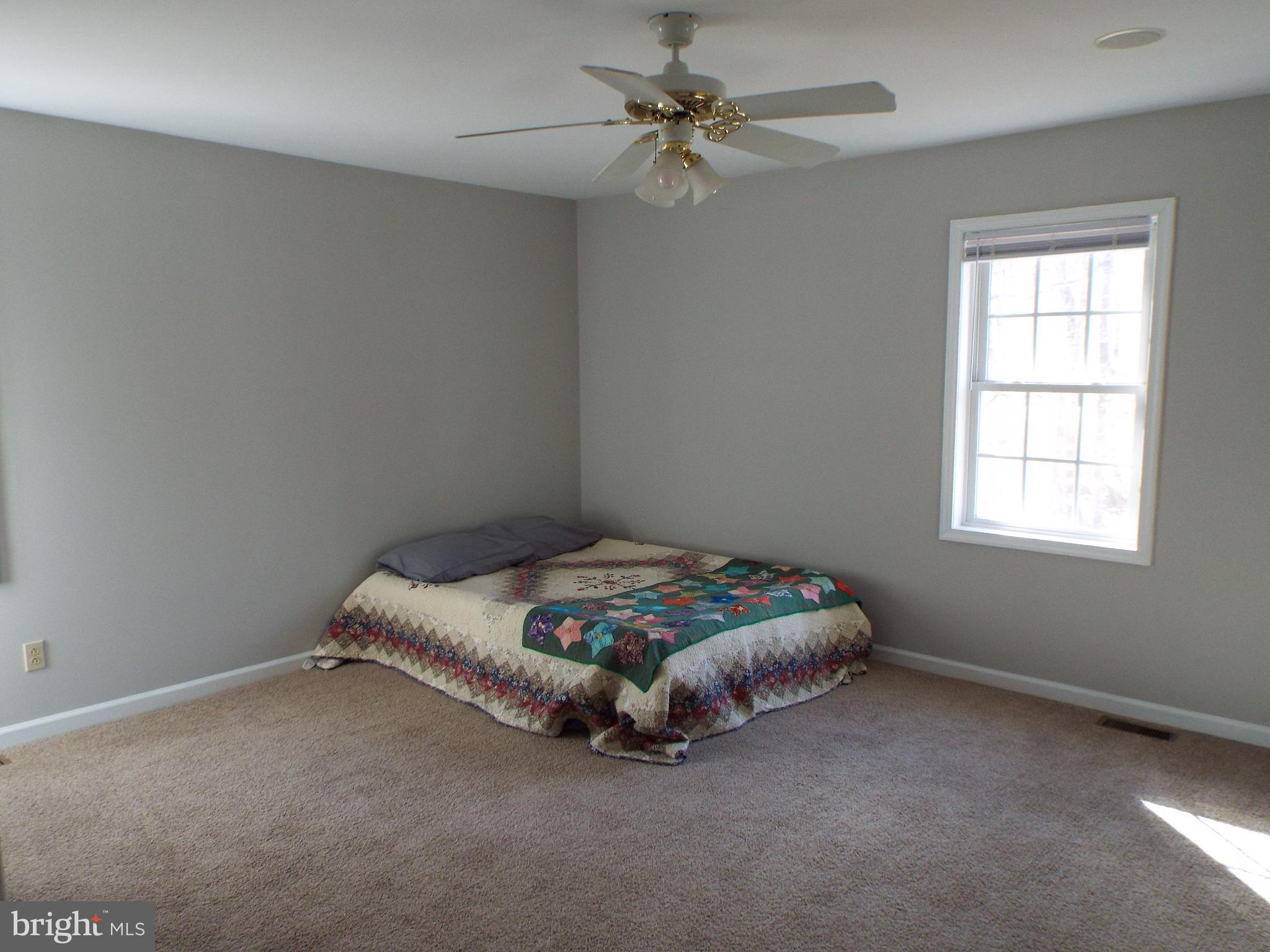 5545 Yanceyville Road Louisa, VA 23093 - Photo 62 of 64 a bed sitting in a bedroom next to a window