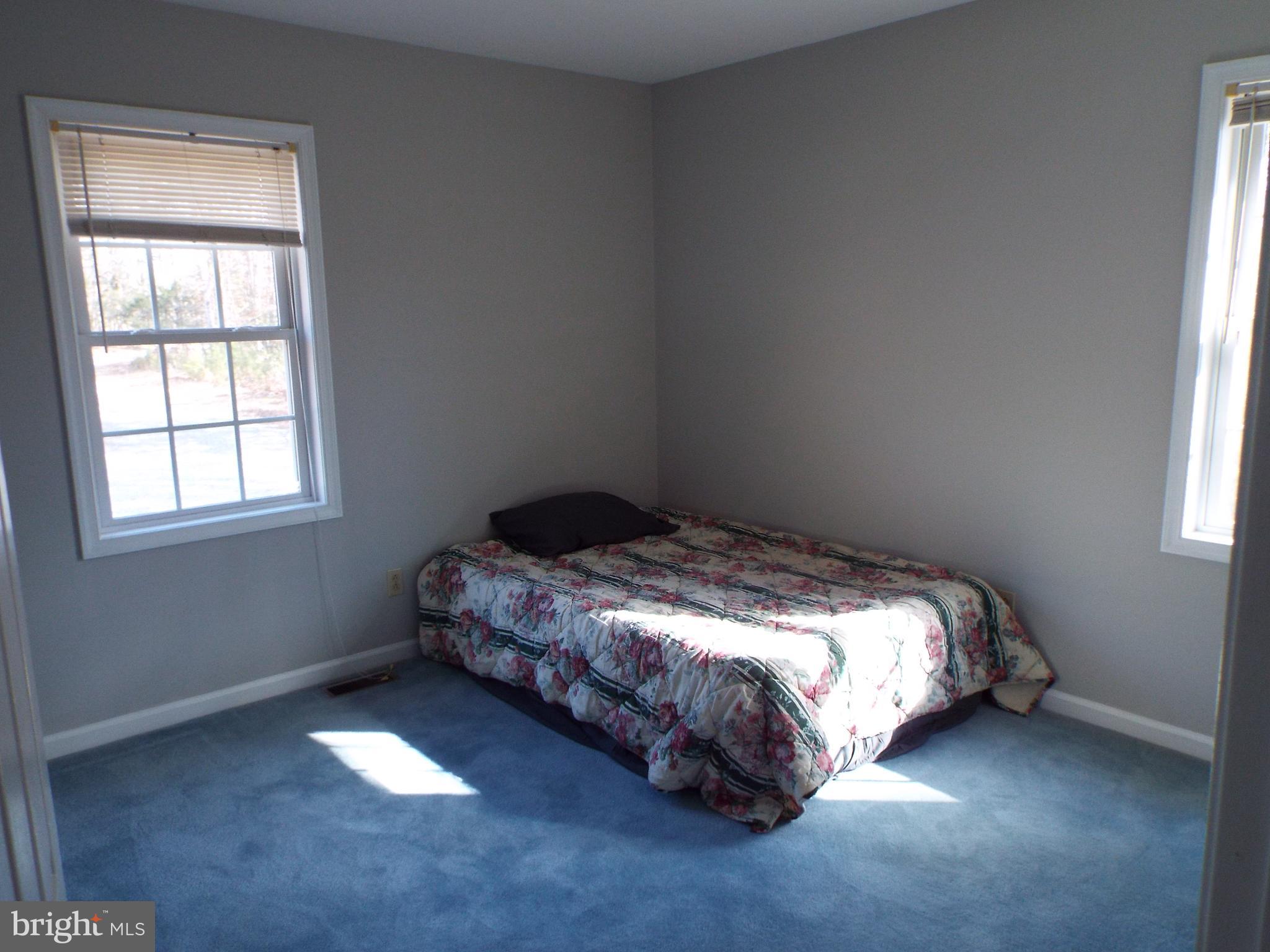 5545 Yanceyville Road Louisa, VA 23093 - Photo 64 of 64 a bed sitting in a bedroom next to a window