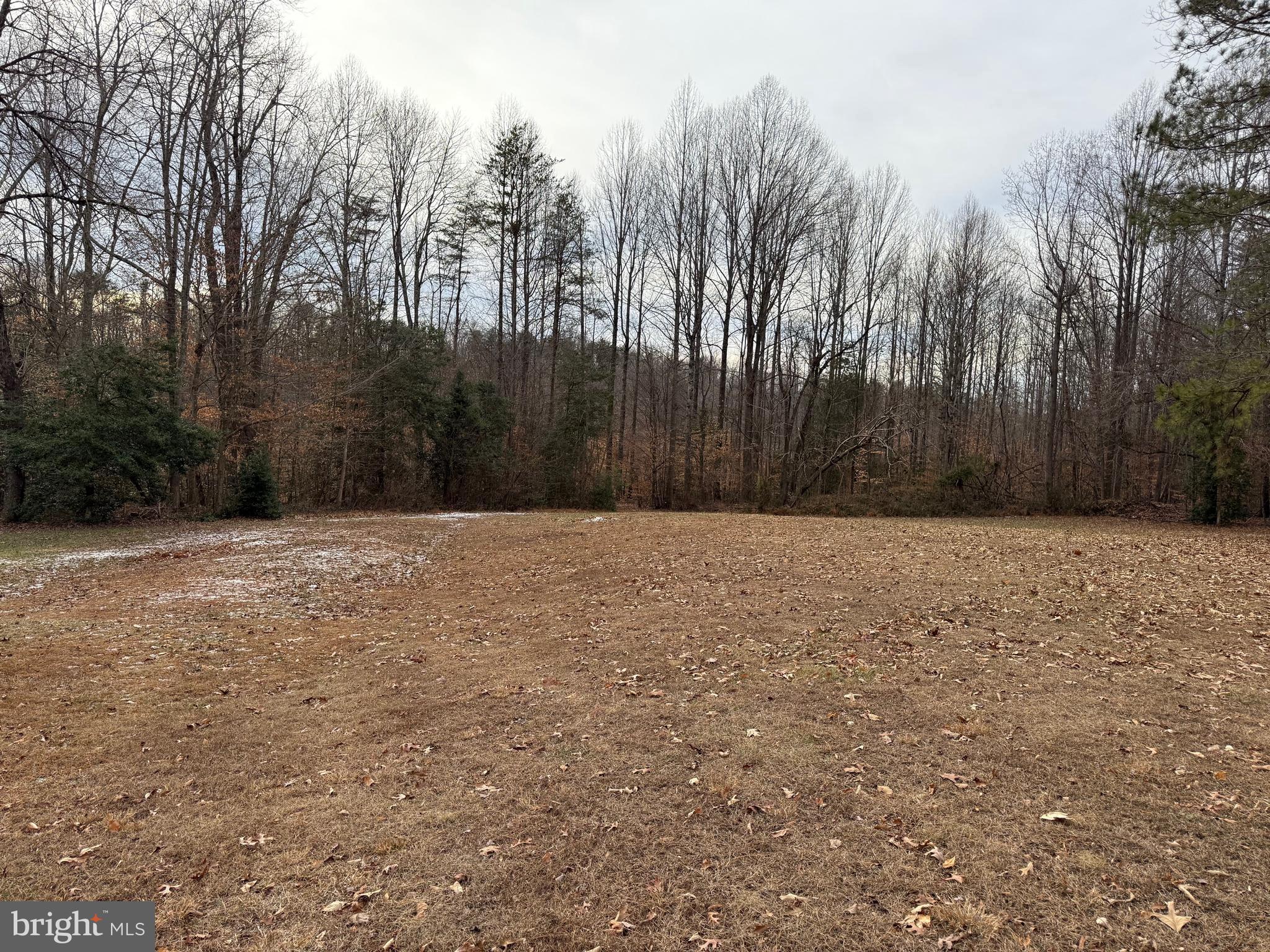 5545 Yanceyville Road Louisa, VA 23093 - Photo 8 of 63 a view of backyard space