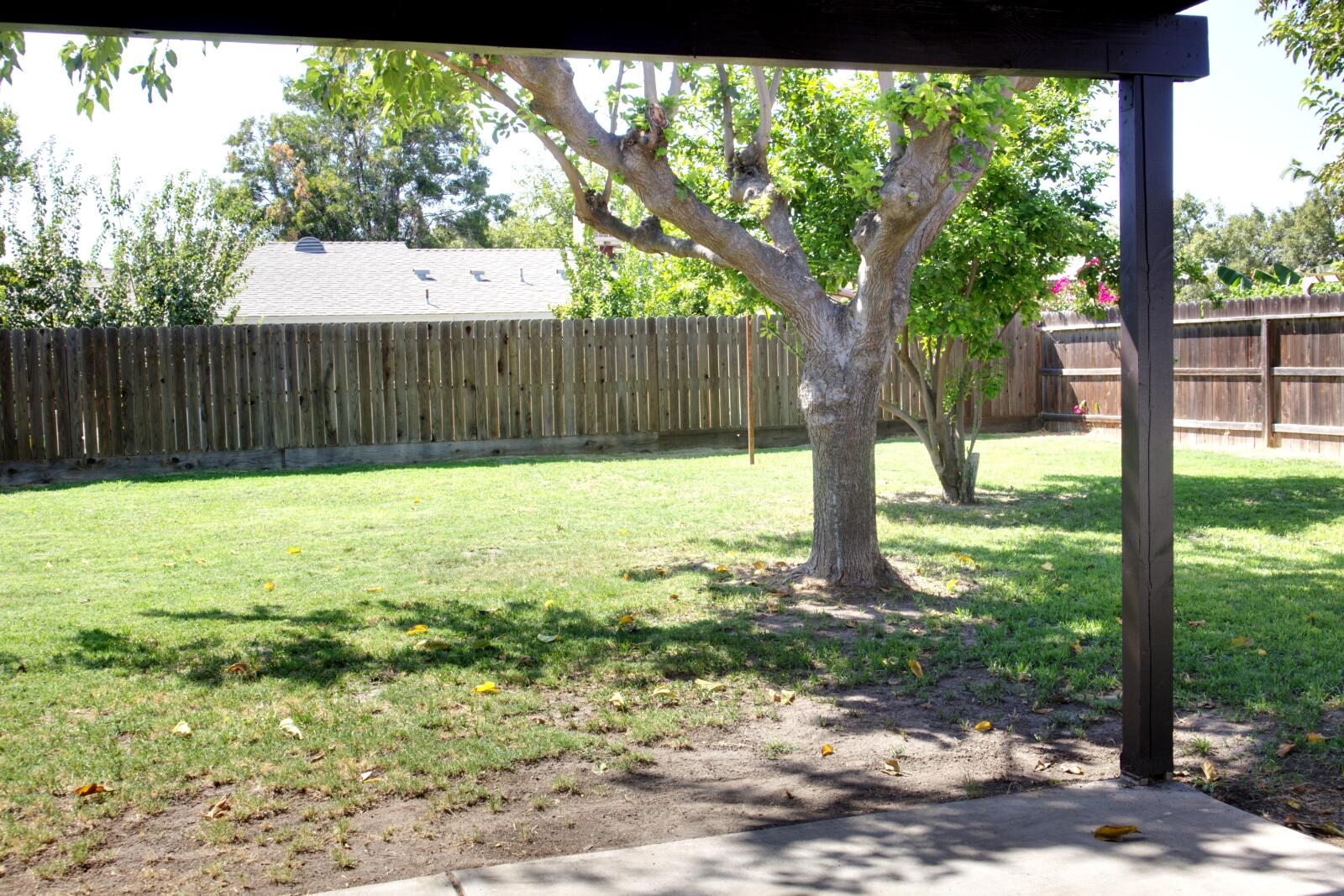 558 Perry Avenue Corcoran, CA 93212 - Photo 40 of 42 editYard 2