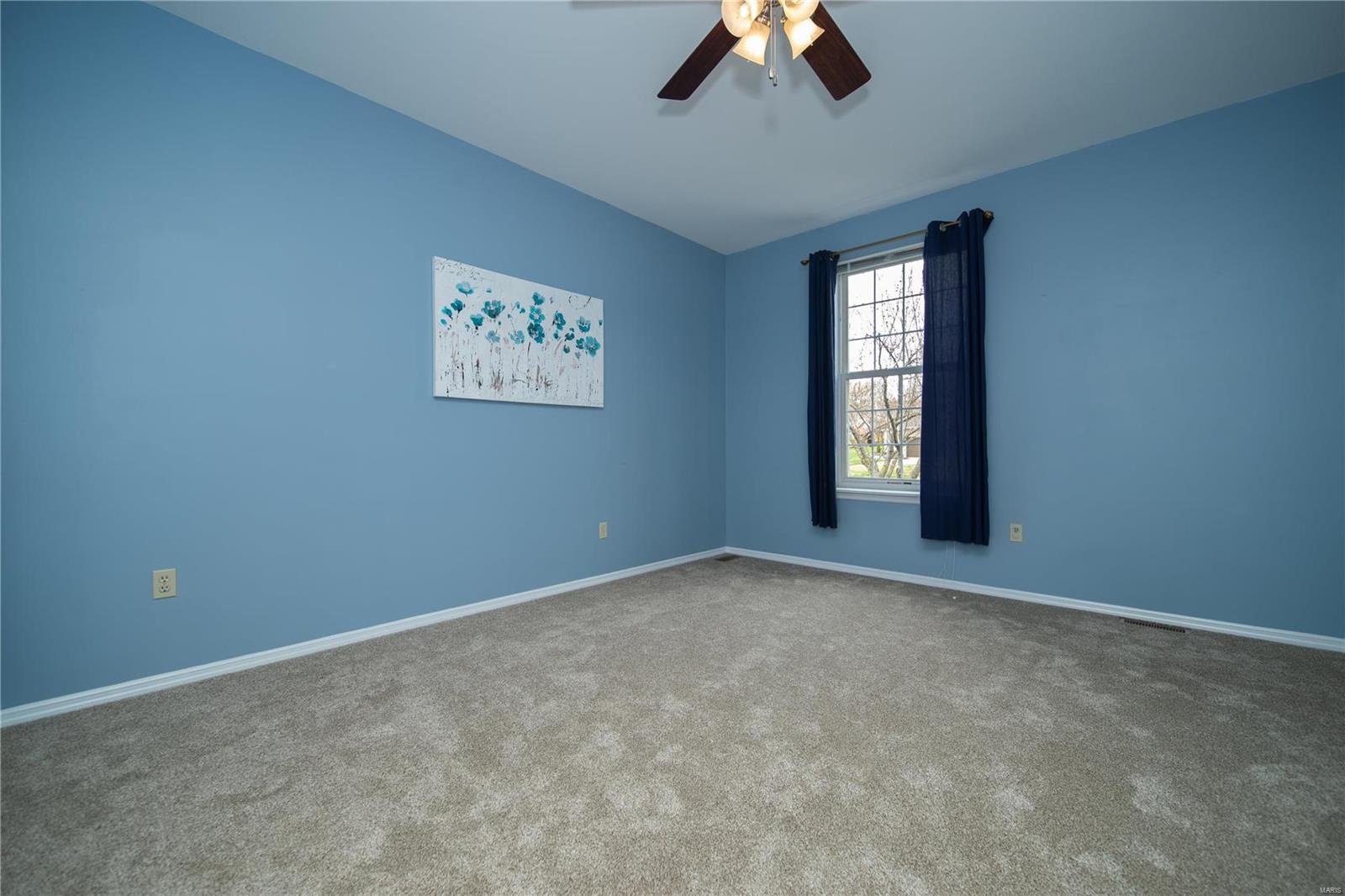 294 Dickens Farm Lane Ballwin, MO 63021 - Photo 16 of 30