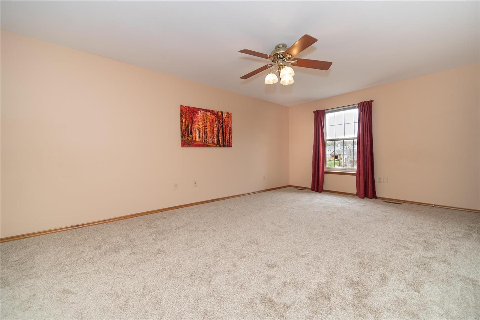 294 Dickens Farm Lane Ballwin, MO 63021 - Photo 19 of 30