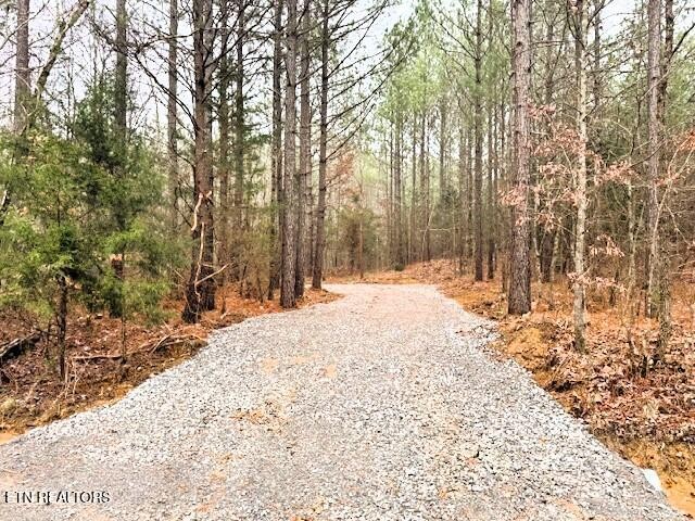 5 Redman Lane Decatur, TN 37322 - Photo 2 of 10