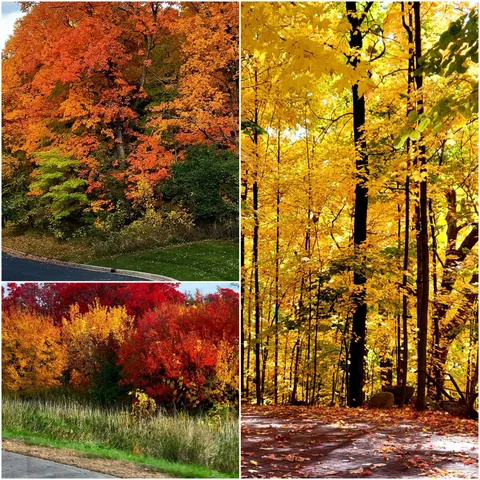 $699,165 | 4707 Obsidian Way, Victoria, MN 55386