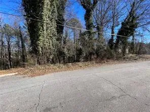 a view of road and trees
