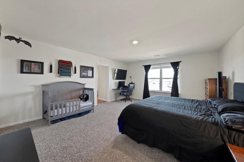 233 Lewis Lane Venus, TX 76084 - Photo 12 of 40 Spacious primary bedroom featuring plush carpet, large window with natural light, and flexible layout for sleeping and workspace.