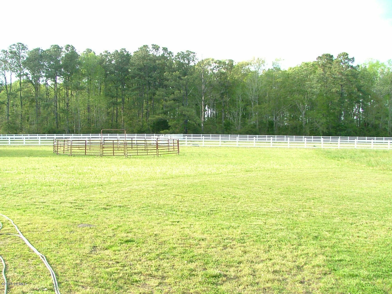 400 Laurel Road Beaufort, NC 28516 - Photo 10 of 18 Back Pasture