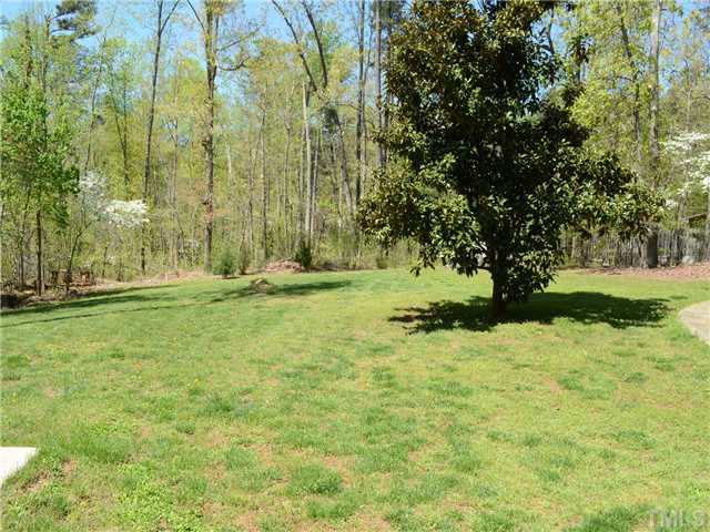 5412 Earle Road Raleigh, NC 27606 - Photo 22 of 25 One View of the Backyard. Yard goes WAY back into the woods...is 4.95 Acres...and there is an active Creek/Stream on the property.